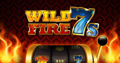 Rock N Rolla wild fire 7